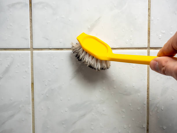  Austin, TX Mold Removal Pros